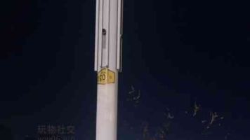 【精彩】户外遛狗，精彩至极40921